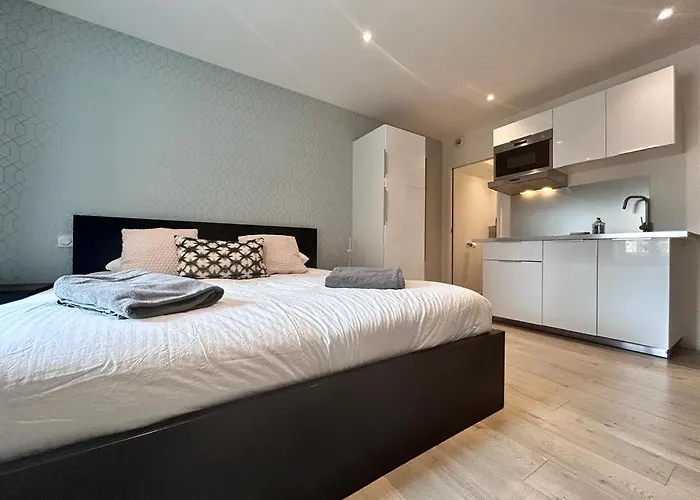 Tour D'auvergne - En Plein Centre Ville, Proche De La Cathedrale Et De La Place De Jaude * Clermont-Ferrand