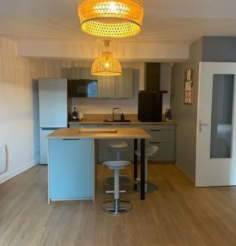 Tour D'auvergne: Near Cathedral And Place De Jaude Apartment