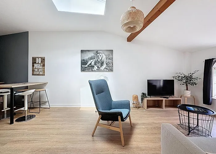 Apartment Tour D'auvergne: Near Cathedral And Place De Jaude